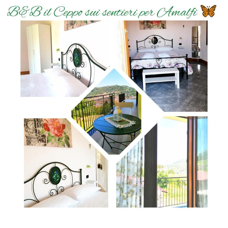 Il Ceppo Sui Sentieri Per Amalfi Bed and Breakfast Pimonte Exterior foto